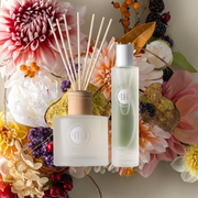 Room Diffuser + Mist Set